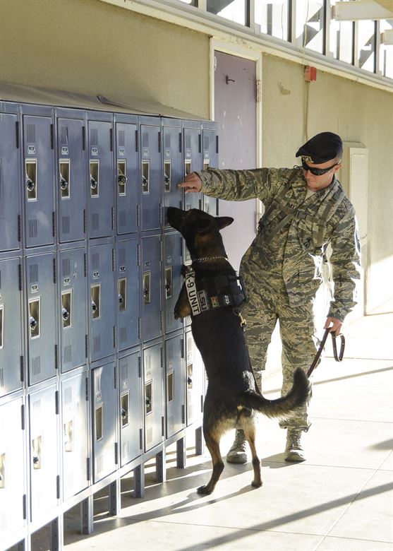 A soldier searches a set of lockers.