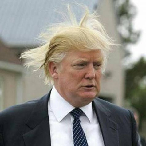 Trumps hair in a recent photo appears under the spell of a witch