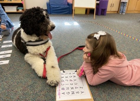 A Salisbury Elementary School student pictured with Murphy the therapy dog in the classroom