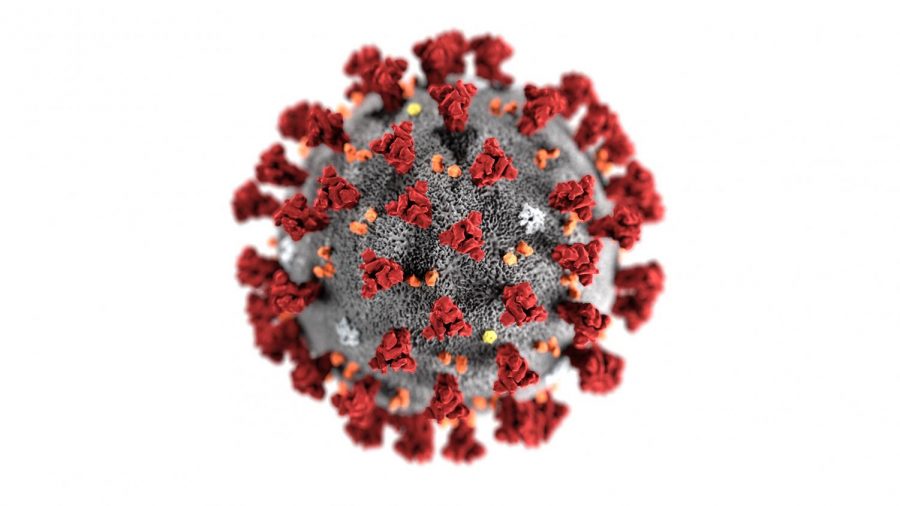 An+image+of+a+microscopic+view+of+the+coronavirus.