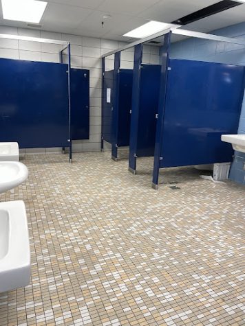 Triton High School’s downstairs girls bathroom. (Photo: Twylah Langmaid)

