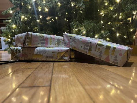 Some wrapped gifts under the Christmas Tree 