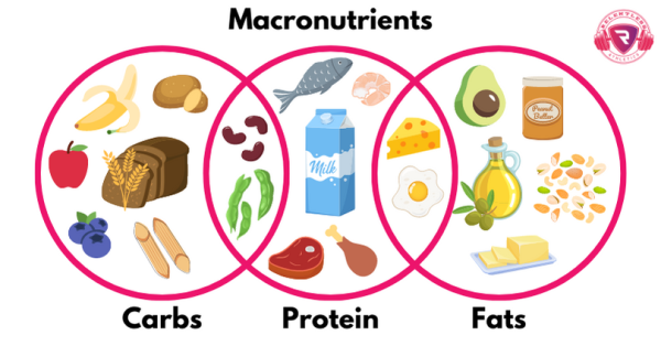 Diagram from relentlessathleticsllc.com