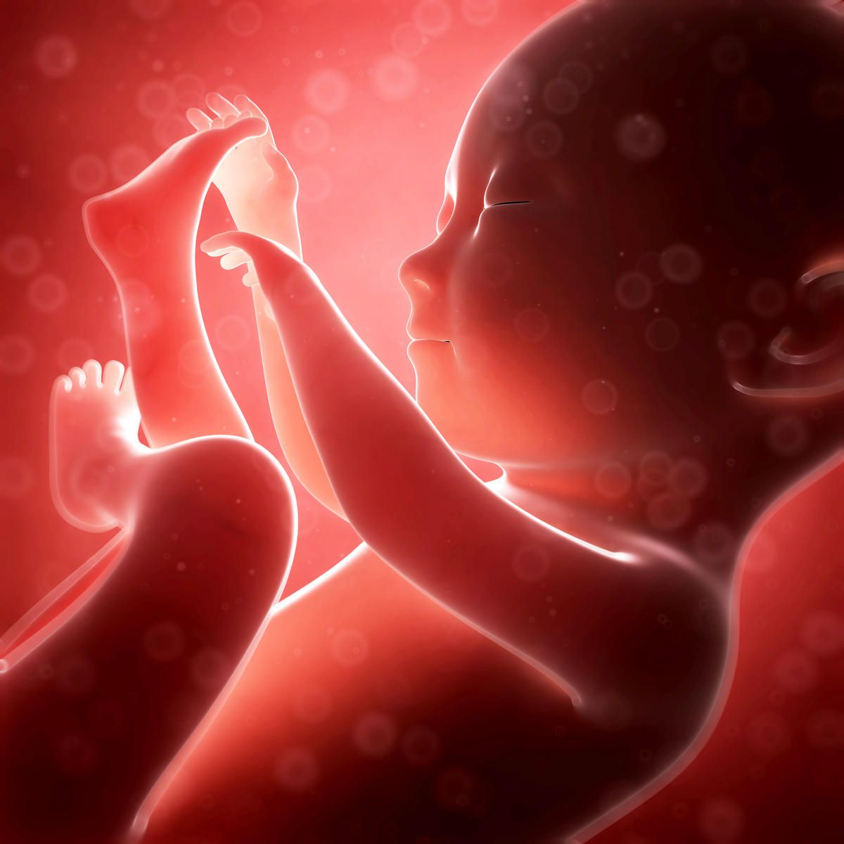 Abortion Education