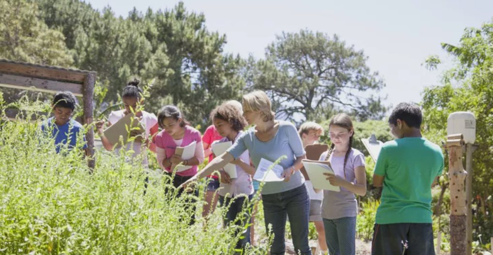 Why We Should Have More Field Trips.